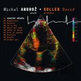 Michal Ambrož, David Koller: Srdeční příběh