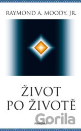 Život po životě