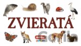 Zvieratá