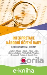 Interpretace Národní účetní rady