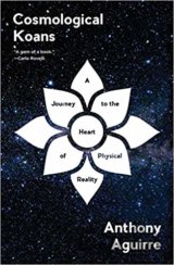Cosmological Koans