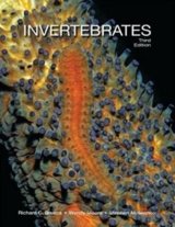 Invertebrates