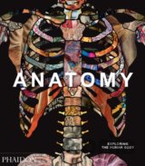 Anatomy