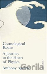 Cosmological Koans