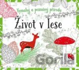 Omalovánky: Život v lese