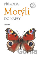 Motýli