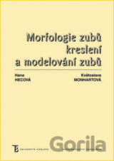 Morfologie zubů