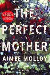 The Perfect Mother