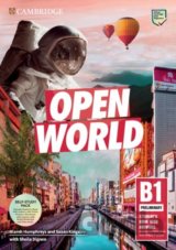 Open World Preliminary