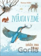 Zvířata v zimě: Ledňáček, srnka a veverka