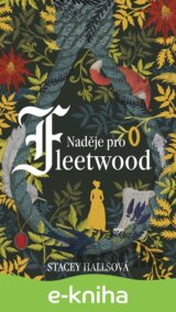 Naděje pro Fleetwood