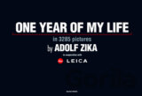 One Year Of My Life