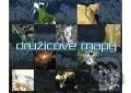 Družicové mapy