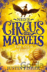 The Gold Thief