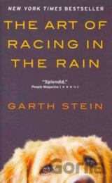 The Art of Racing in the Rain