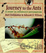 Journey to the Ants