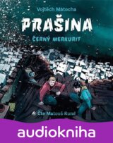 Prašina - Černý merkurit
