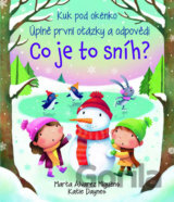 Co je to sníh?