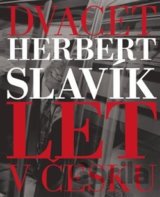 Dvacet let v Česku