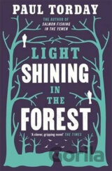 Light Shining in the Forest