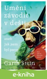 Umění závodit v dešti
