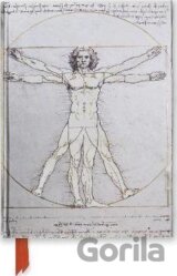 Da Vinci Vitruvian Man