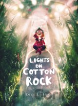 Lights on Cotton Rock