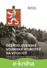 Československé vojenské jednotky na východě