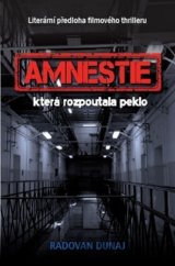 Amnestie