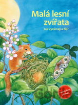 Malá lesní zvířata