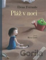 Pláž v noci