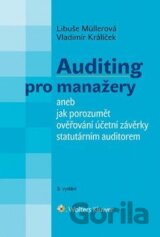 Auditing pro manažery