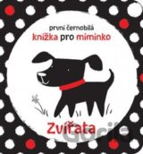 Zvířata