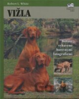 Vižla