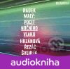 Maly,r.: Pocit Nocniho Vlaku (DVD-audio)
