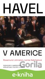 Havel v Americe