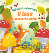 V lese: Co veverka viděla