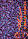 Obrazy / Paintings 1996-1999
