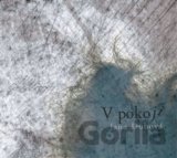 V pokoji
