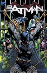 Batman: The Fall and the Fallen