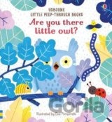 Are you there little owl?