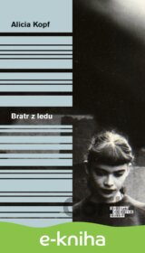 Bratr z ledu