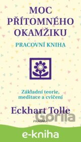 Moc přítomného okamžiku