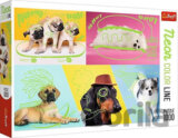 Psí relax: Puzzle Neon Color Line
