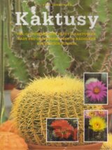 Kaktusy