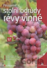 Pěstujeme stolní odrůdy révy vinné
