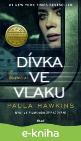 Dívka ve vlaku