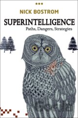 Superintelligence