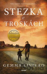 Stezka v troskách