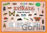Zvířata hmyz - Sada 24 karet